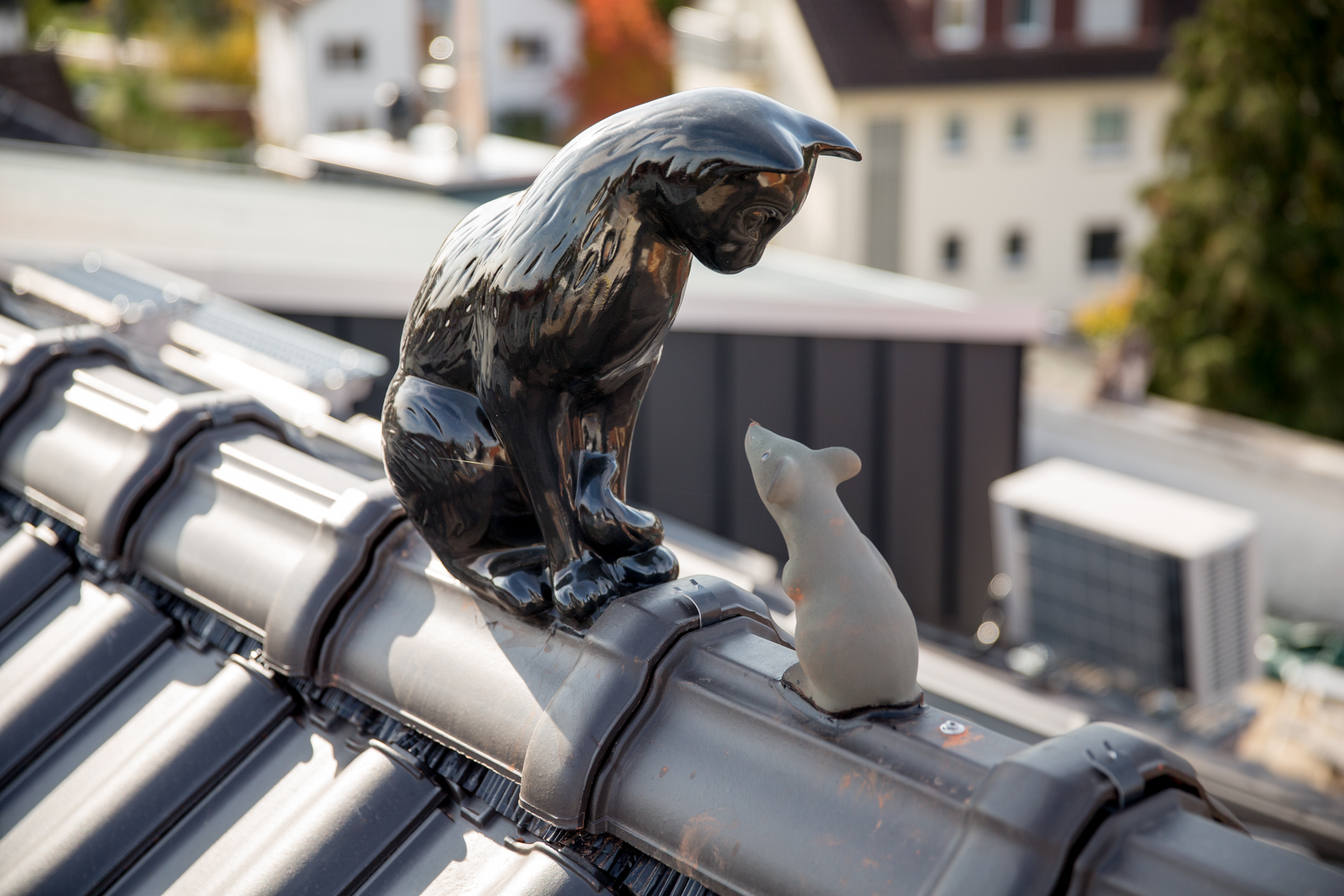 projekt blickfang ddm gundermann 16.jpeg