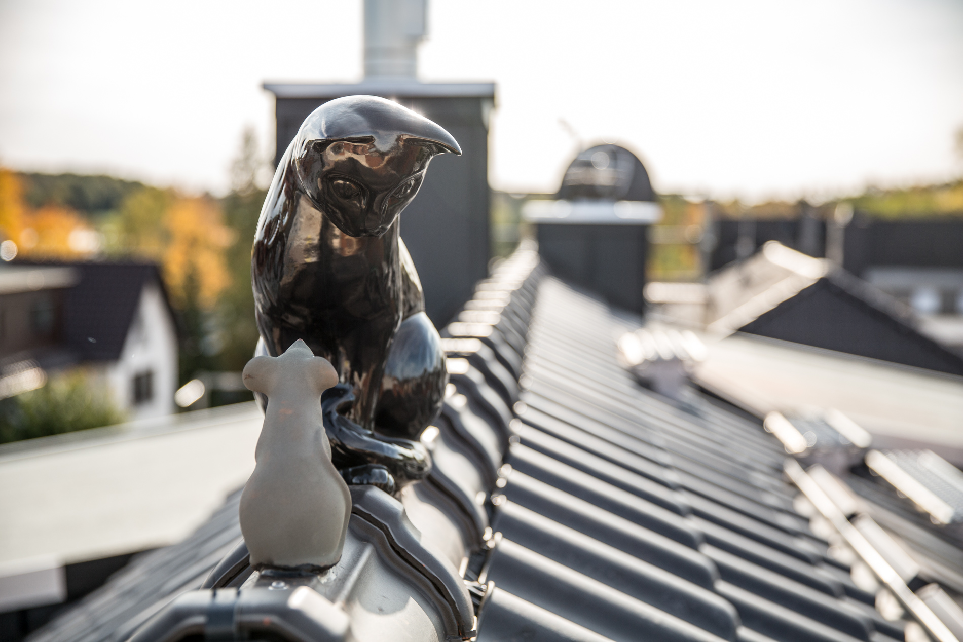 projekt blickfang ddm gundermann 17.jpeg