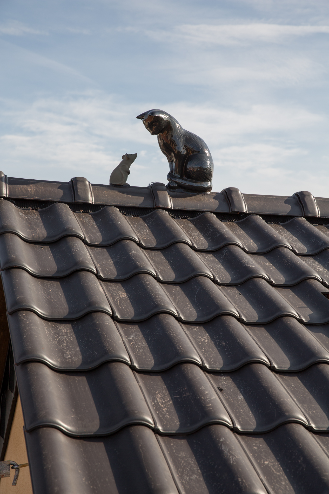 projekt blickfang ddm gundermann 18.jpeg