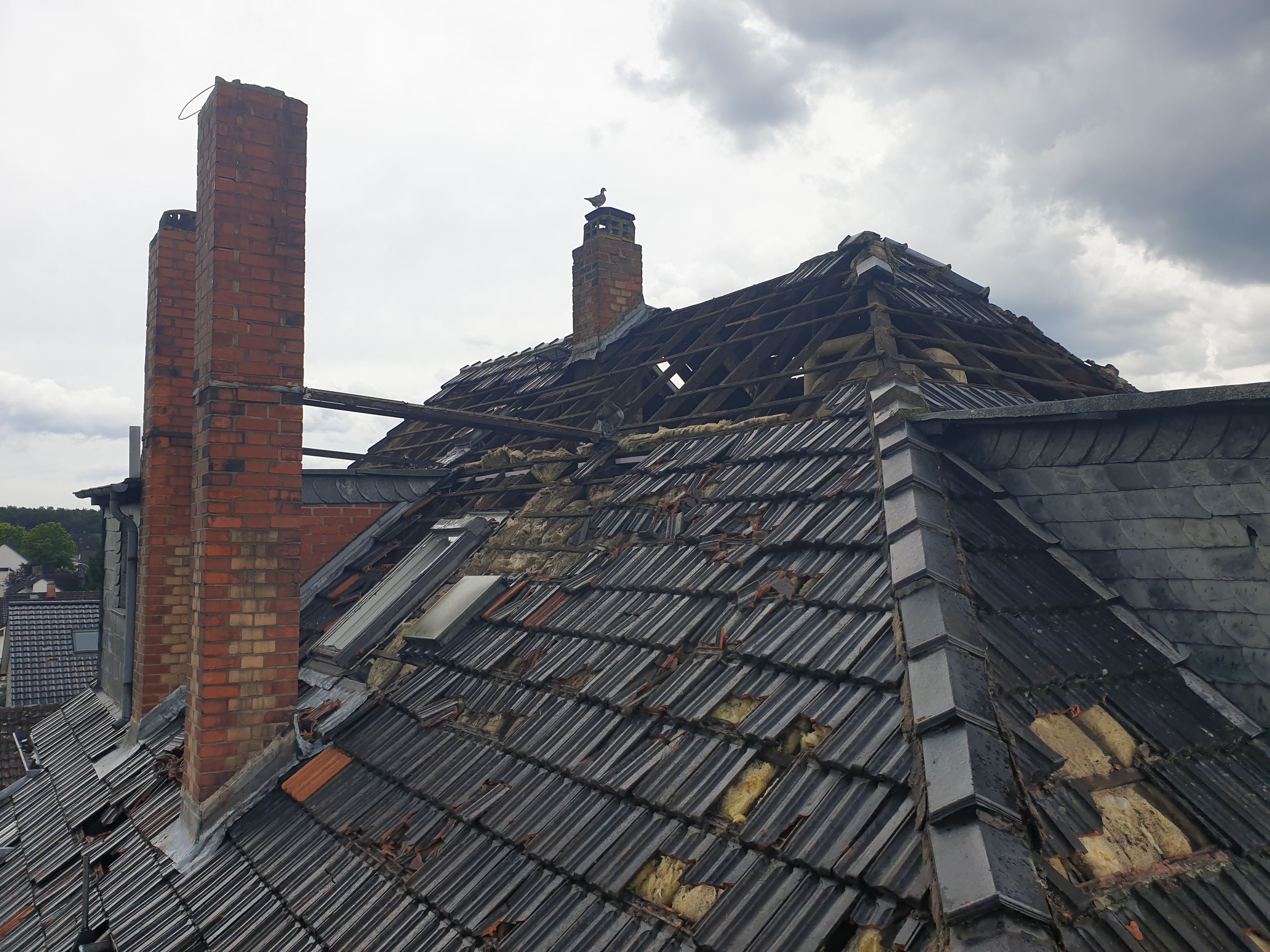 projekt blickfang ddm gundermann 18.jpeg